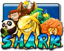 Shark