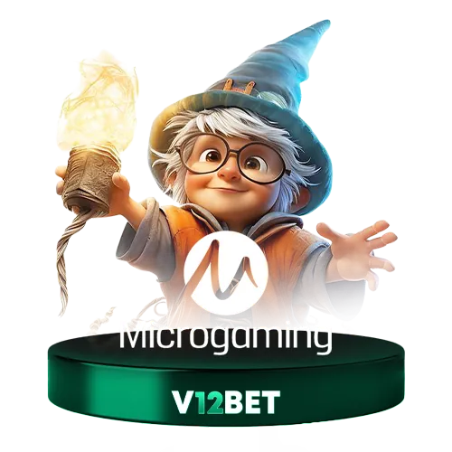 Microgaming slot